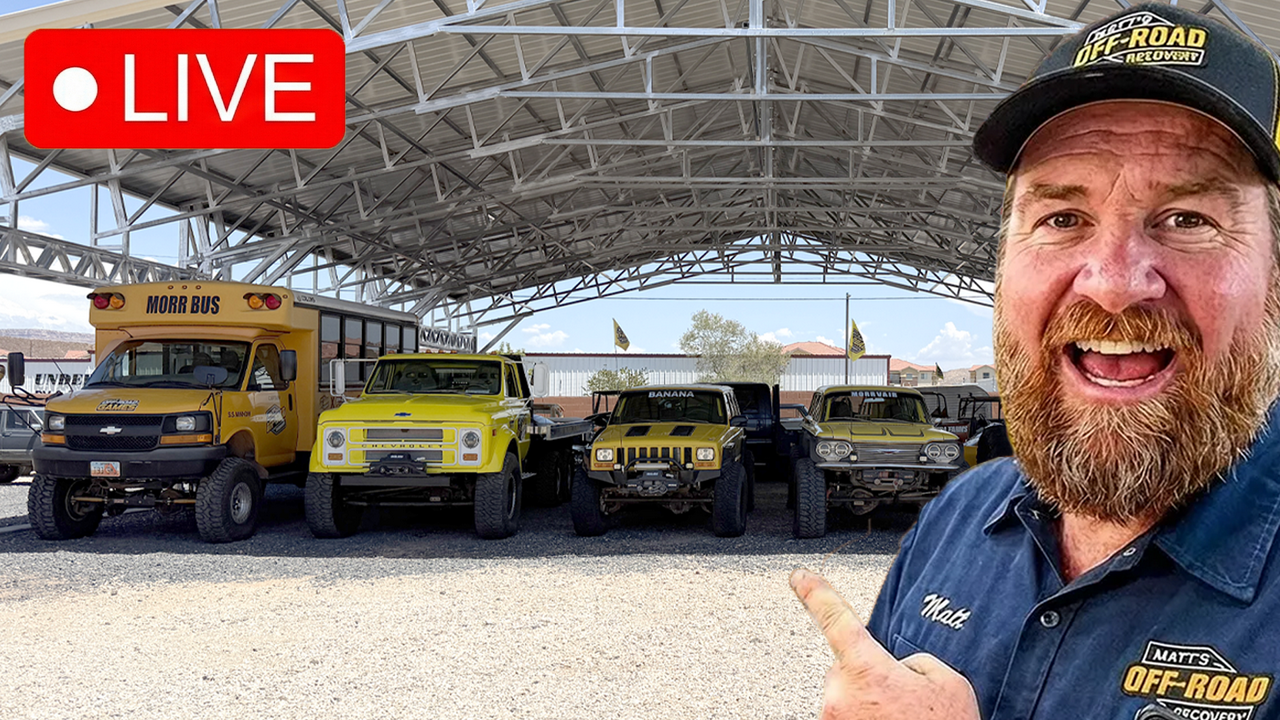 Live Behind the Scenes: NEW Yard Reveal & Hangout with the Crew!
