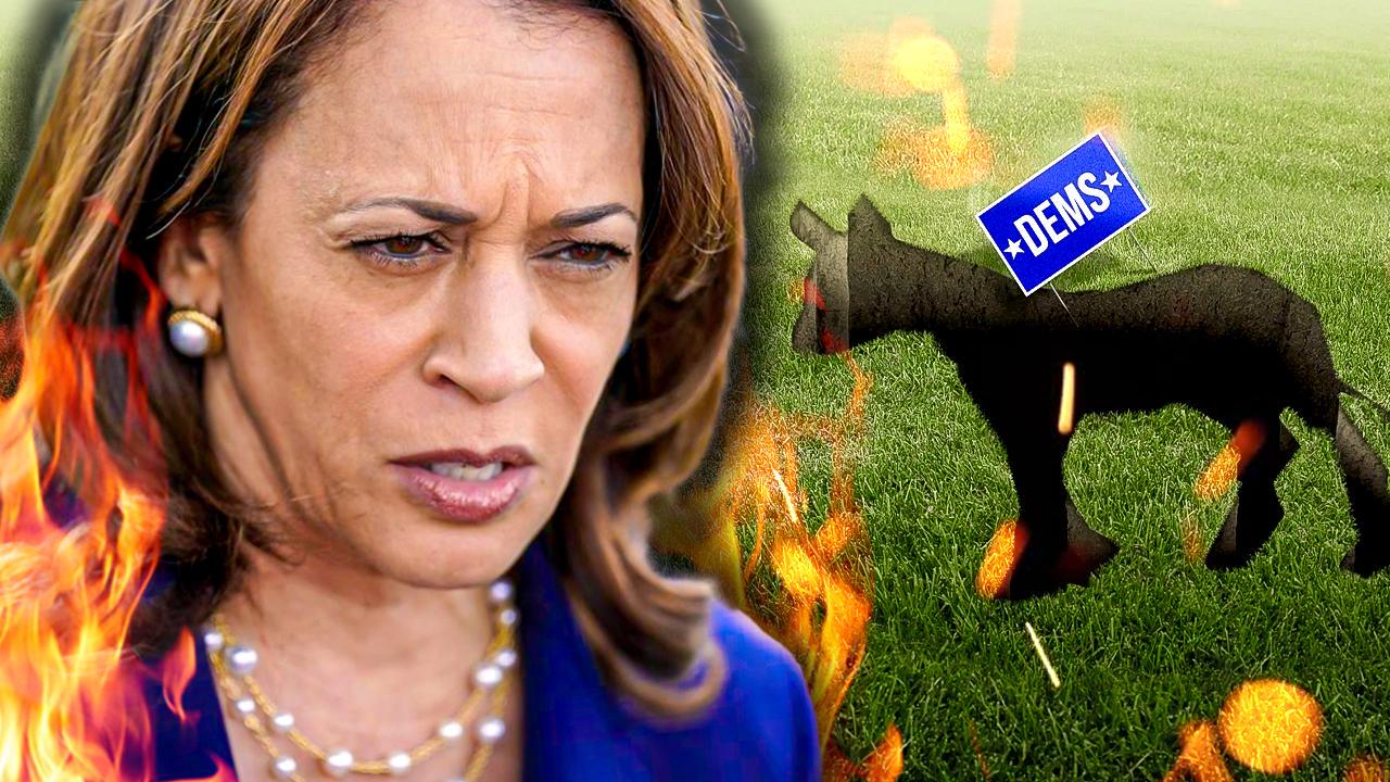 Democrats Are Facing an Electoral ARMAGEDDON!!!