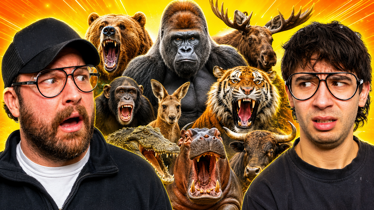 Can 100 Humans Beat A Silverback Gorilla? — Slightly Above Average Podcast Episode 20